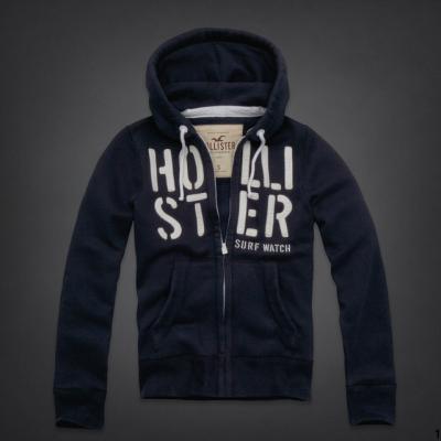 Hollister Men Hoodies-111